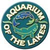 jk2004_aquarium.jpg (7227 bytes)